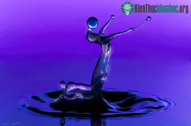 Ngắm loạt ảnh “chất như nước cất” về những giọt nước, cứ ngỡ như xem các tác phẩm điêu khắc vậy ảnh 3