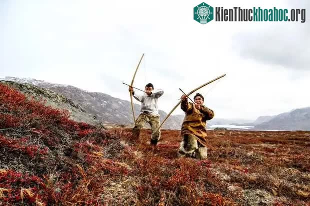 Việc săn bắt vào mùa đông thường chỉ là phương án dự phòng khi có bất trắc.