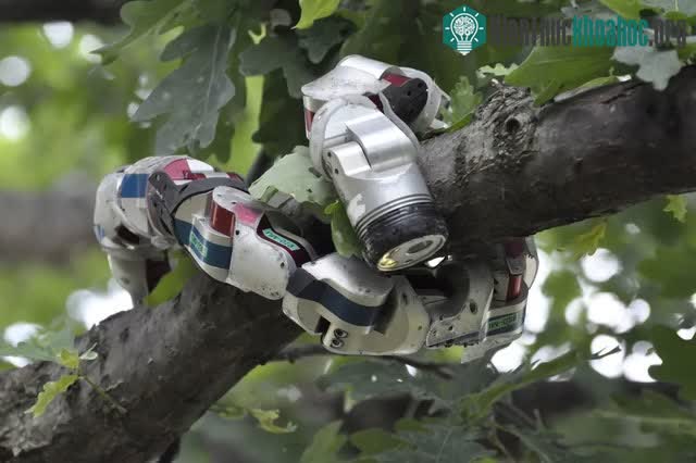 Robot rắn