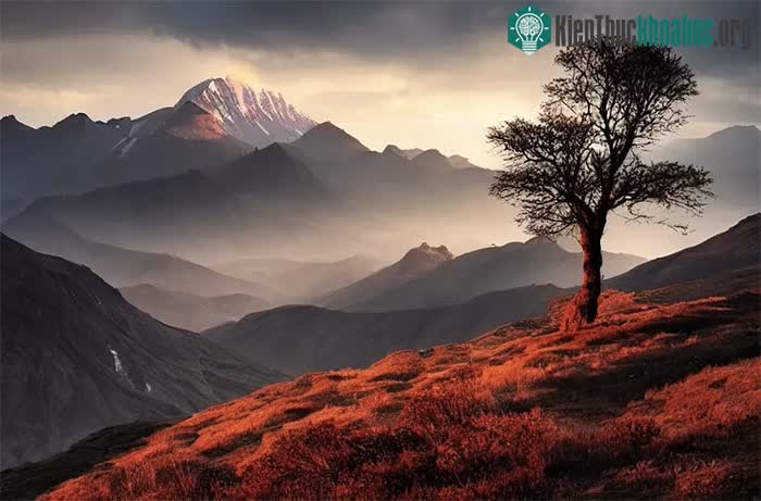 Không phải ảnh chụp đâu, đây là những bức tranh phong cảnh tuyệt đẹp do AI tạo ra đấy! ảnh 3