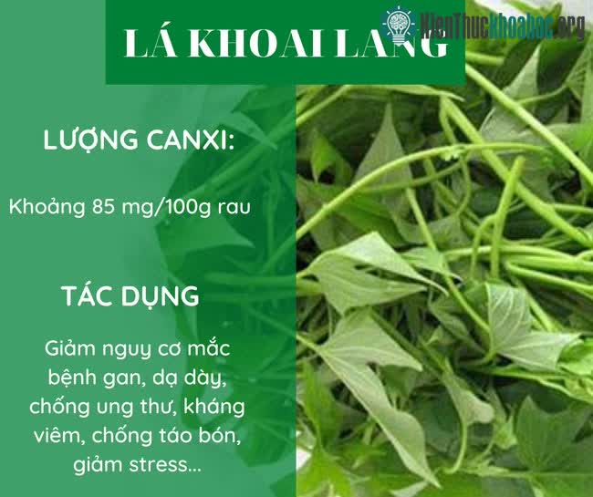 Lá khoai lang