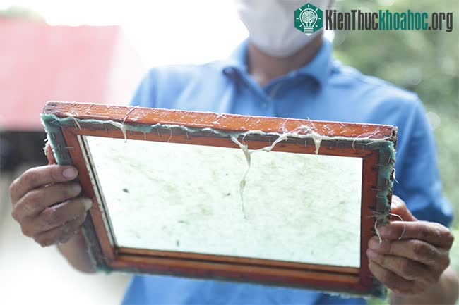 Khuôn giấy sẽ được mang ra phơi trên một lớp vải mỏng được lót trên bề mặt kính