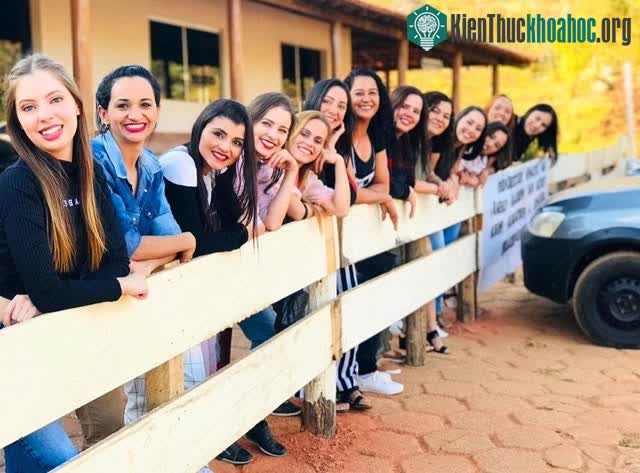 &nbsp;Không phải vì "ế" chồng mà các cô gái tại Noiva do Cordeiro dễ dãi.