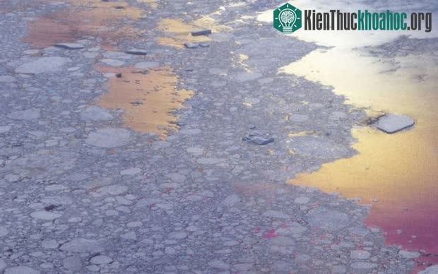 Cảnh tượng trông như một bảng pha màu của họa sĩ này thực ra là hoàng hôn ở Nam Cực