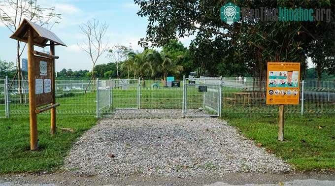Công viên dành cho chó (Dog Park)