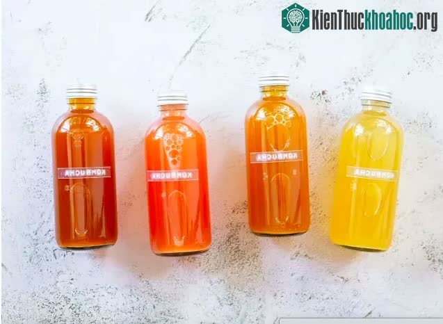 Trà Kombucha