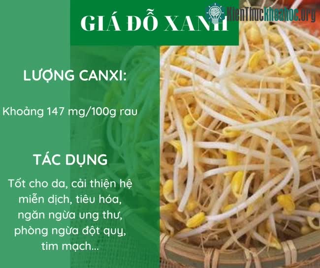 Giá đỗ