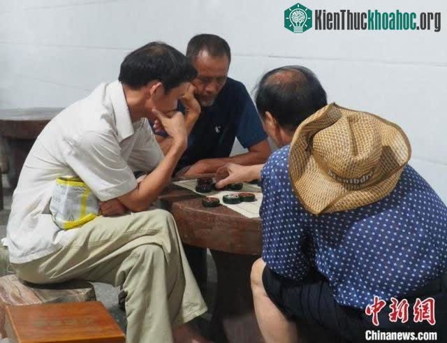 Người dân chơi cờ dưới hầm.