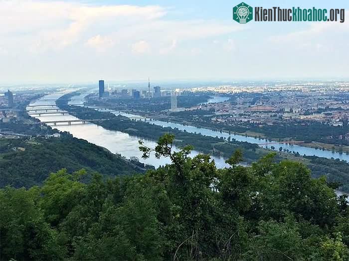 Sông Danube uốn lượn giữa lòng Vienna.
