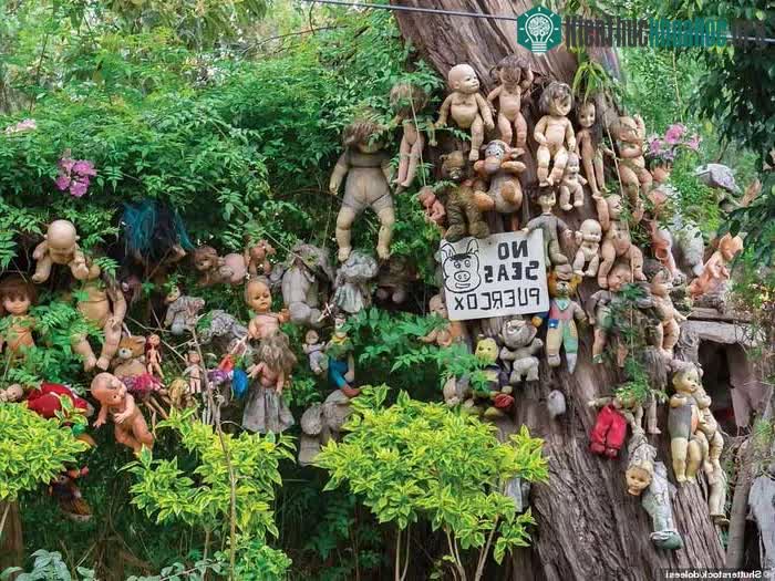 La Isla De Las Munecas, Mexico
