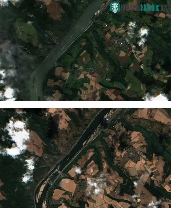 Sông Rhine năm 2021 (trên) và năm 2022 (dưới).