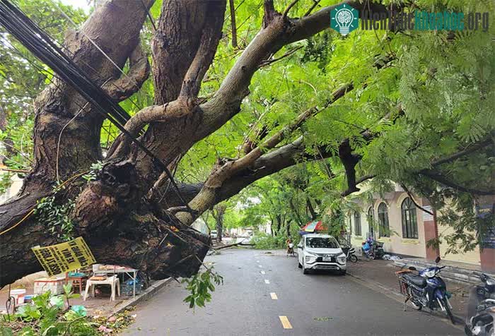 Dây điện bị đứt, một số khu dân cư bị mất điện từ tối qua đến sáng nay.