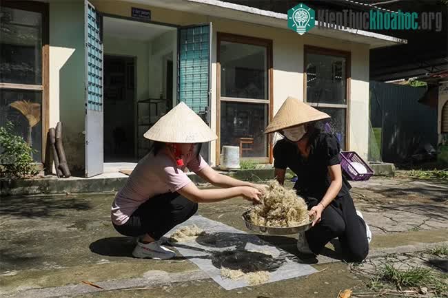 Độc đáo loại giấy làm từ... phân voi ảnh 6