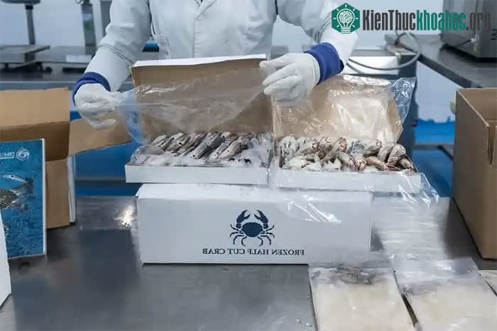 Sau khi phương pháp "charfia" được áp dụng, hàng loạt công ty chế biến đã "mọc" lên tại Tunisia.