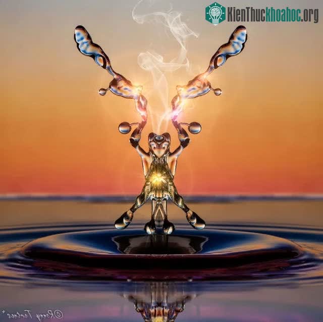Ngắm loạt ảnh “chất như nước cất” về những giọt nước, cứ ngỡ như xem các tác phẩm điêu khắc vậy ảnh 6