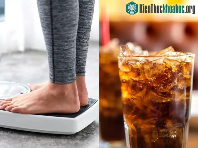 Chất ngọt nhân tạo sẽ khiến bạn tăng cân, bất chấp chúng không có calo.