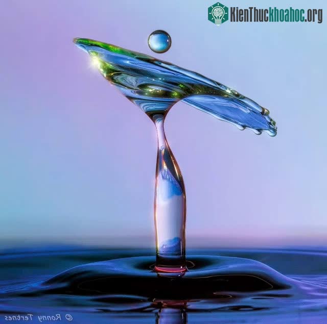 Ngắm loạt ảnh “chất như nước cất” về những giọt nước, cứ ngỡ như xem các tác phẩm điêu khắc vậy ảnh 7
