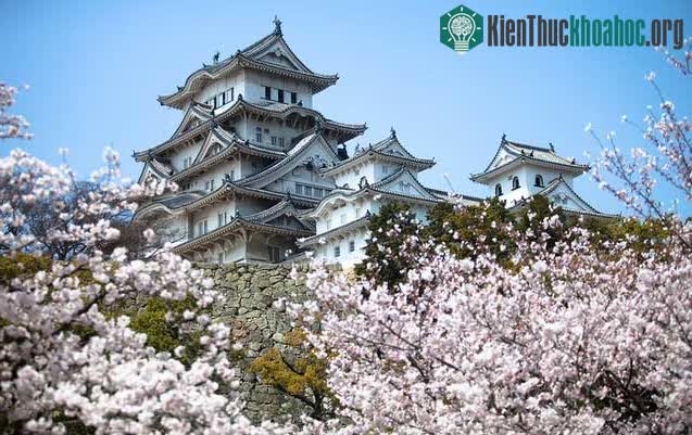 Cung điện Hoàng gia ở Tokyo, Nhật Bản