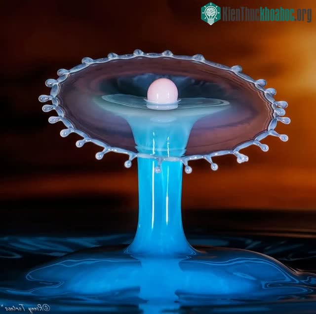 Ngắm loạt ảnh “chất như nước cất” về những giọt nước, cứ ngỡ như xem các tác phẩm điêu khắc vậy ảnh 8