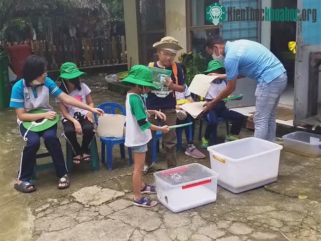 Độc đáo loại giấy làm từ... phân voi ảnh 9