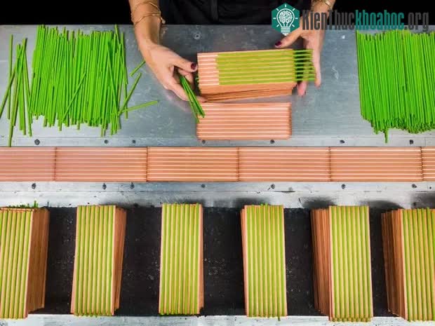 Người ta cho than chì vào thanh gỗ rỗng ruột, từ đó bút chì có vỏ bằng gỗ đã ra đời.