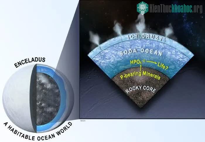Phốt pho ở dạng orthophosphate có thể có nhiều trong đại dương dưới bề mặt của Enceladus