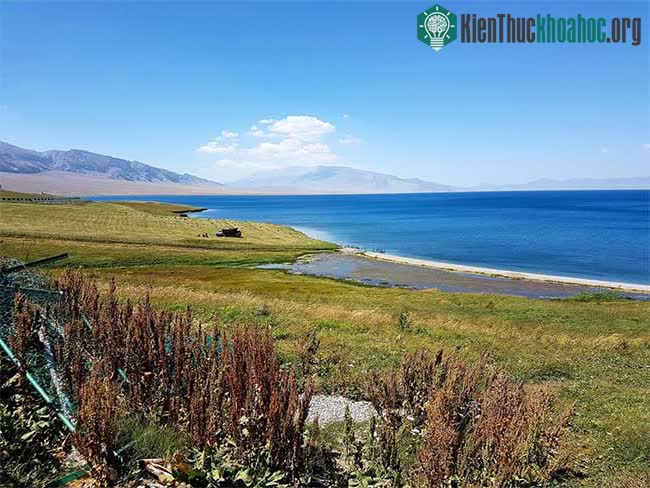 Tân Cương có diện tích lên tới 1.665.000 km².