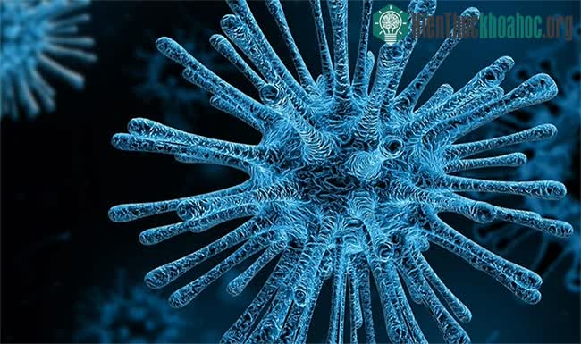 Arterivirus