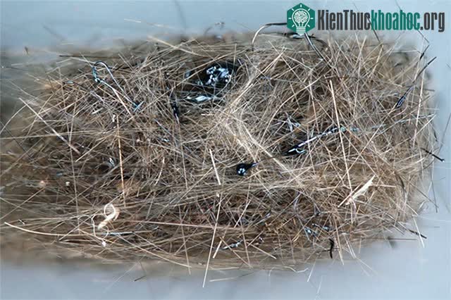 Tóc Pele là một dạng dung nham.