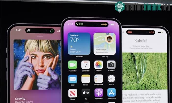 "Dynamic Island" đang trở thành từ khóa hot trên mạng sau khi Apple giới thiệu iPhone 14