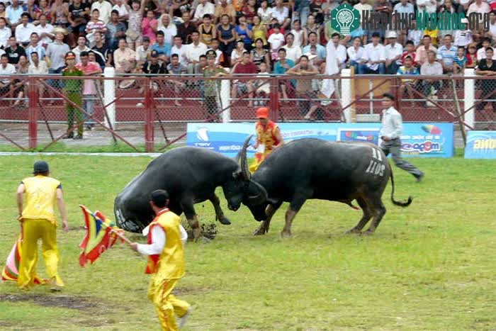 Lễ hội diễn ra vào ngày 9 tháng 8 Âm lịch hàng năm