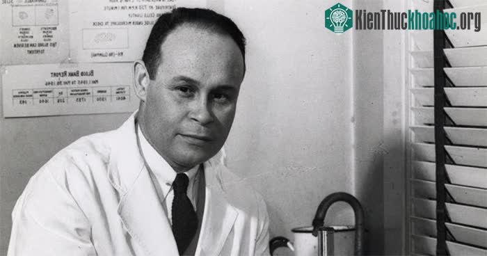 Charles Richard Drew là người mở đường cho việc lưu trữ, xử lý và vận chuyển huyết tương an toàn.