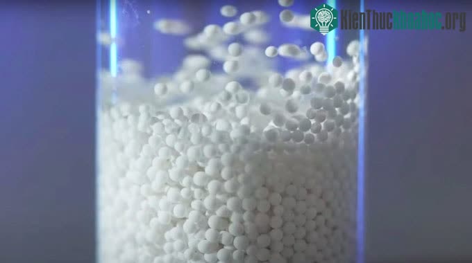 Các hạt alginate rộng 1,5mm được đưa vào cơ thể để điều trị ung thư.