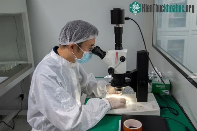 Nhà nghiên cứu Yang Wei quan sát một mẫu đất Mặt trăng dưới kính hiển vi.