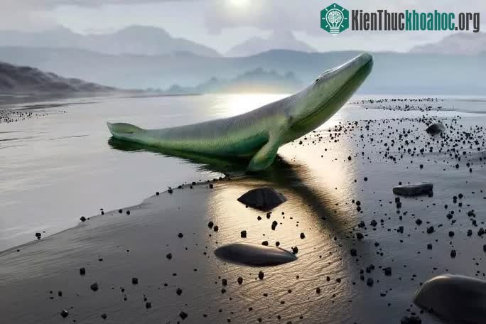 Chân dung "quái vật tổ tiên" tetrapod