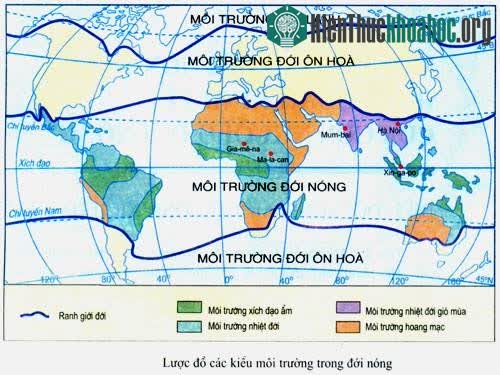 Lược đồ các kiểu môi trường trong đới nóng