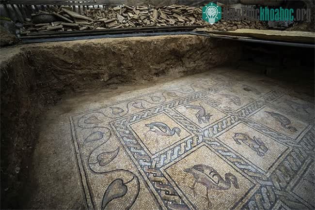 Phần sàn mosaic thể hiện hình ảnh của 17 loài thú và chim rất cầu kỳ.