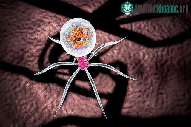Nghiên cứu mới cho thấy: Virus vừa có thể nghe và xem chúng ta ảnh 0