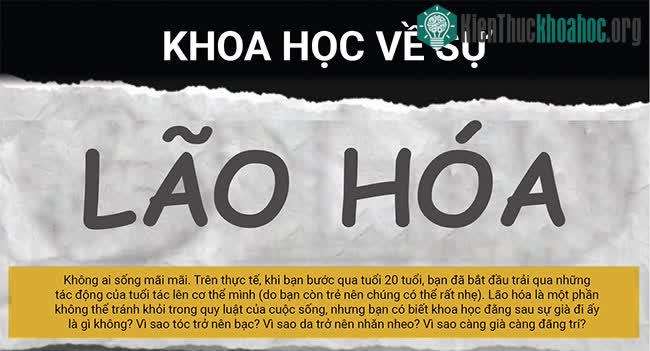 Sự lão hóa dưới góc nhìn khoa học