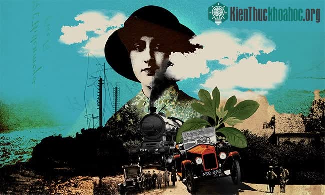 Những lời đổ oan và vụ mất tích bí ẩn trong 11 ngày của Agatha Christie ảnh 0