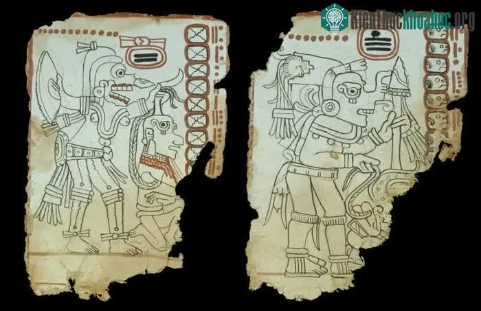Trang 7 của cuốn "Códice Maya de México".