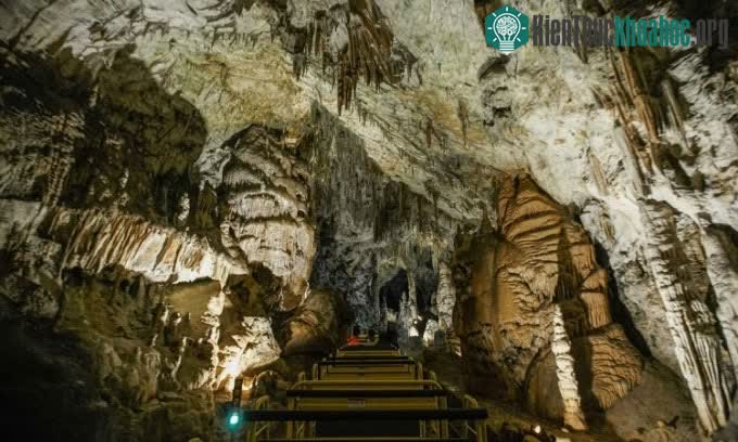 Hang động Postojna là môi trường sống của rồng non quý hiếm.