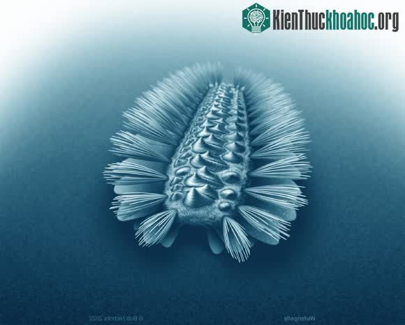 Chân dung quái vật nhỏ được tái hiện