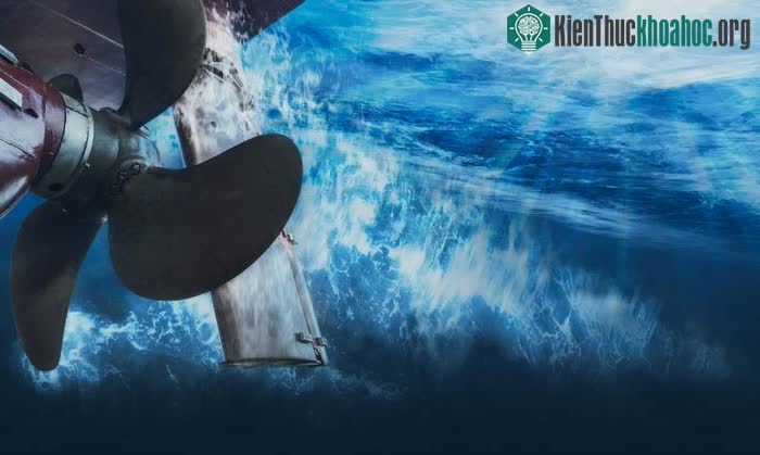 Chân vịt một số loại tàu thủy tạo ra rất nhiều bọt khí và tiếng ồn.