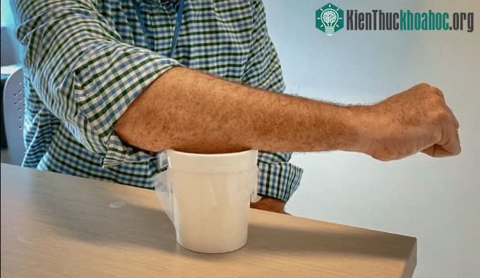 Thử nghiệm để cho muỗi mang virus được biến đổi gene đốt lên những cánh tay