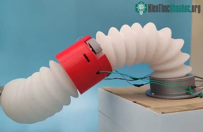 Một loại robot dạng mềm từng được phát minh trước SMFR.