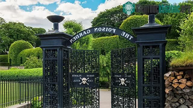 Poison Garden - Khu vườn chết chóc nhất thế giới ảnh 1