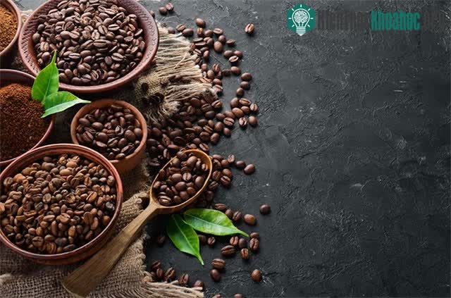 Muỗi thường bị những cơ thể ấm hơn thu hút, trong khi đó caffeine làm tăng thân nhiệt.