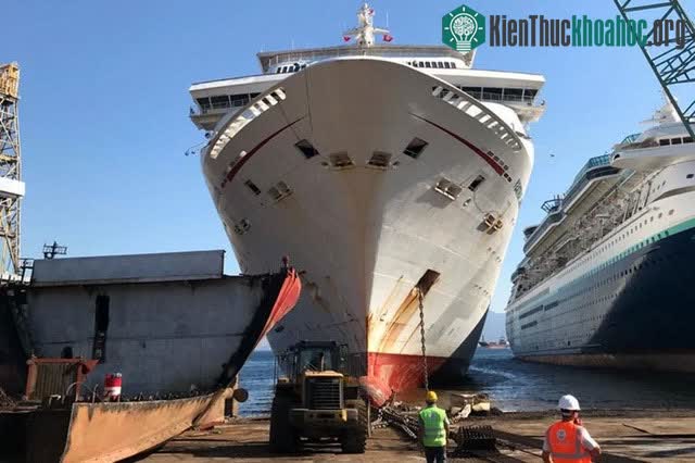 Du thuyền Carnival Fantasy.
