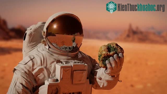 Lớp đất mặt (regolith) là một lớp vật liệu không đồng nhất, bở rời phủ lên nền đá cứng.